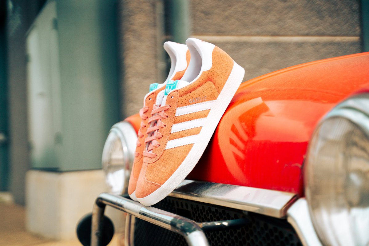 ¿Qué te parecen estas @adidas Gazelle? Recuerda que también tenemos sección de Lifestyle en Fútbol Emotion. Conócela en este enlace: 🔗 tinyurl.com/26qq55pb -- #FutbolEmotion