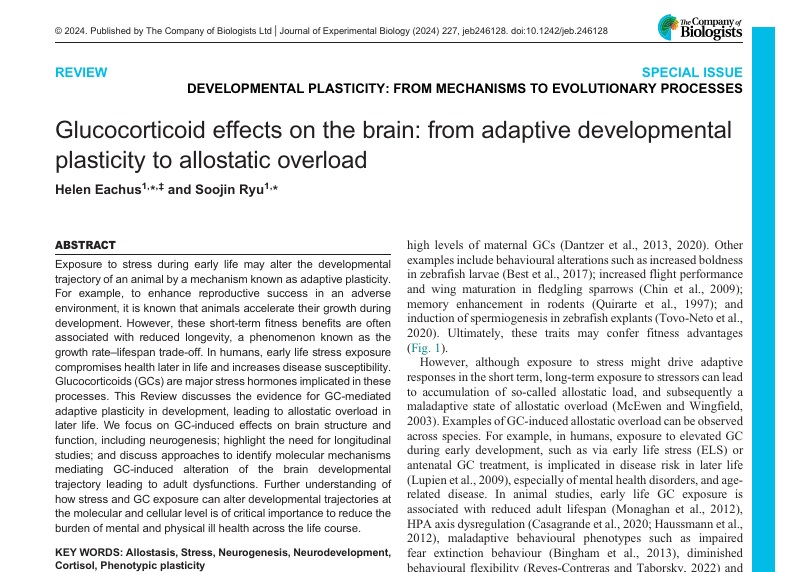 In their recent Special Issue Review, @HelenEachus & @ProfRyu discuss how exposure to high levels of glucocorticoids can mediate adaptive plasticity during development, as well as allostatic overload in later life, especially in the context of the brain. journals.biologists.com/jeb/article/22…