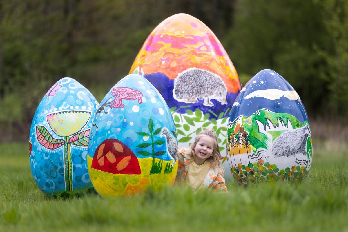 Hop on down to RHS Bridgewater for #Easter holiday fun until 14 April: 🐰 Go on a Giant Easter Egg hunt 🐰 Get creative with Easter crafts 🐰 Grow your own bird feeder 🐰 Take the bird spotter trail 🐰 Enjoy storytelling sessions Plan your visit: rhs.org.uk/gardens/bridge…