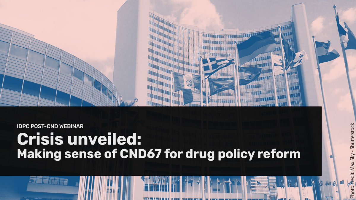 🇺🇳 #CND67 was groundbreaking!

🗳️  1st votes in decades —incl. on #HarmReduction!
🕊️ 1st @UNHumanRights Chief's in-person participation.
✊ Stronger-than-ever Indigenous peoples' voice.

⏰ Join us on Monday to make sense of it all!

Info & registration: idpc.net/events/2024/03…