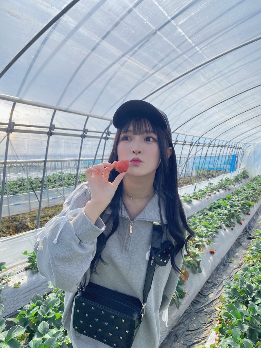 鈴木杏奈 on X: 