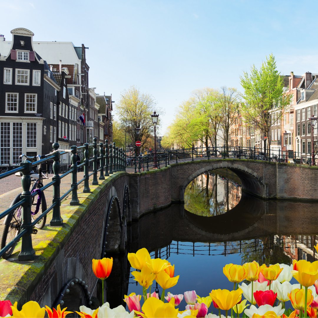 If you're looking for a city break full of exciting activities, Amsterdam is the place for you! Here are some of the best things to do in Amsterdam 👇 👉 Van Gogh Museum 👉 Anne Frank House 👉 Rijksmuseum 👉 Canal cruises 👉 Vondelpark BOOK NOW! ✈ londonsouthendairport.com/flights/destin…