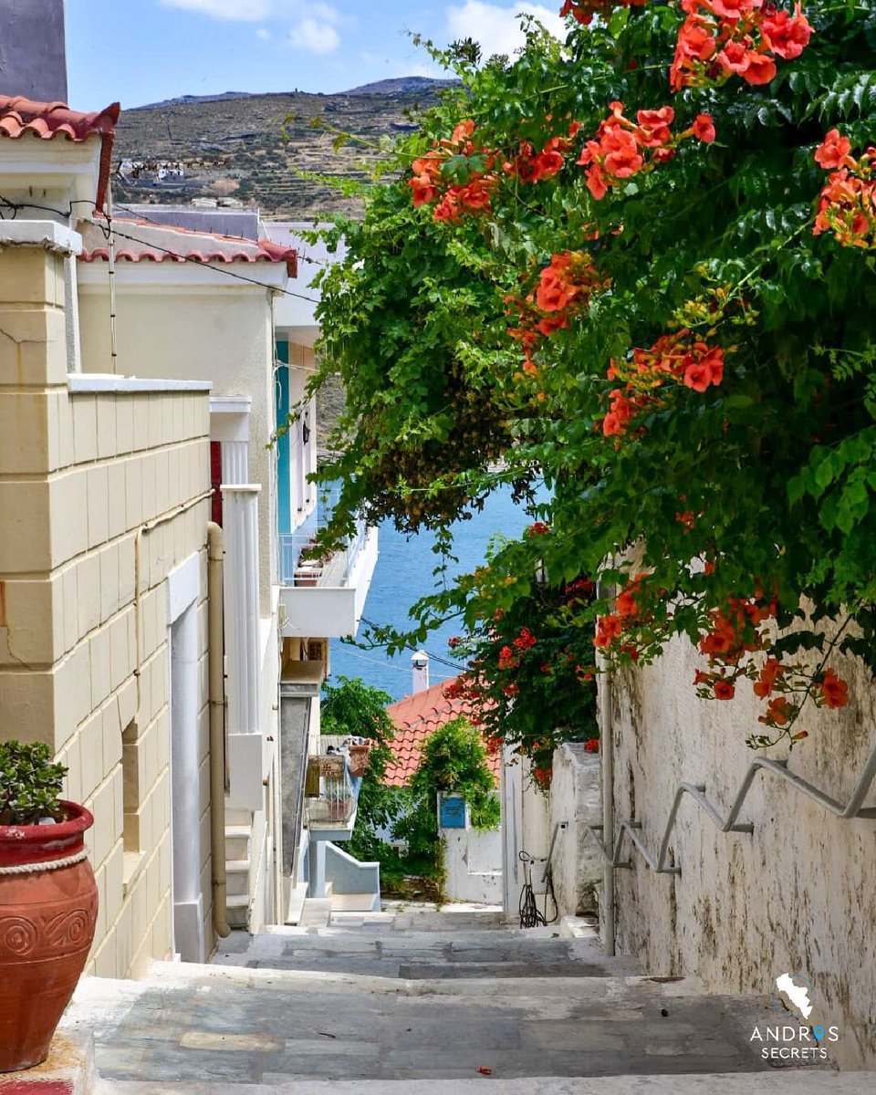 Summer vibes in Andros Town await! Who is up for a stroll through its picturesque lanes? 💙☺️ #andros_secrets #andros #greece #visitgreece #sunset #vacationgoals #islandhopping #paradise #beaches #travelgreece #androsisland #greekisland #choraandros