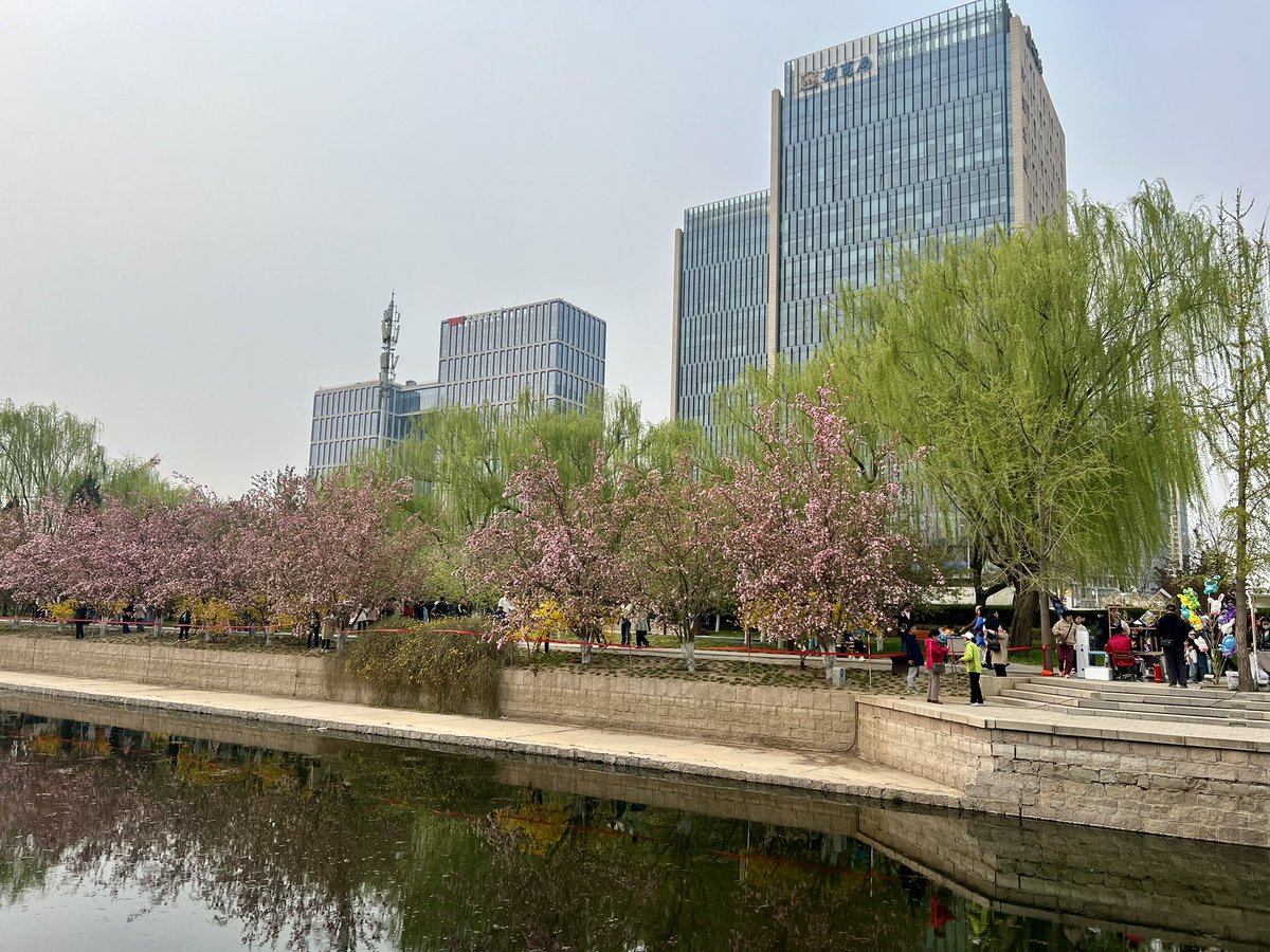 RobertoXST's tweet photo. @EmbajadaChinaEc La gente disfruta de la primavera en Beijing #2024 https://t.co/DLFttfgT9u