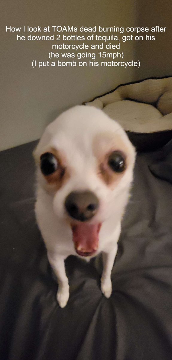 Did i cook? @PMtoAM_yt