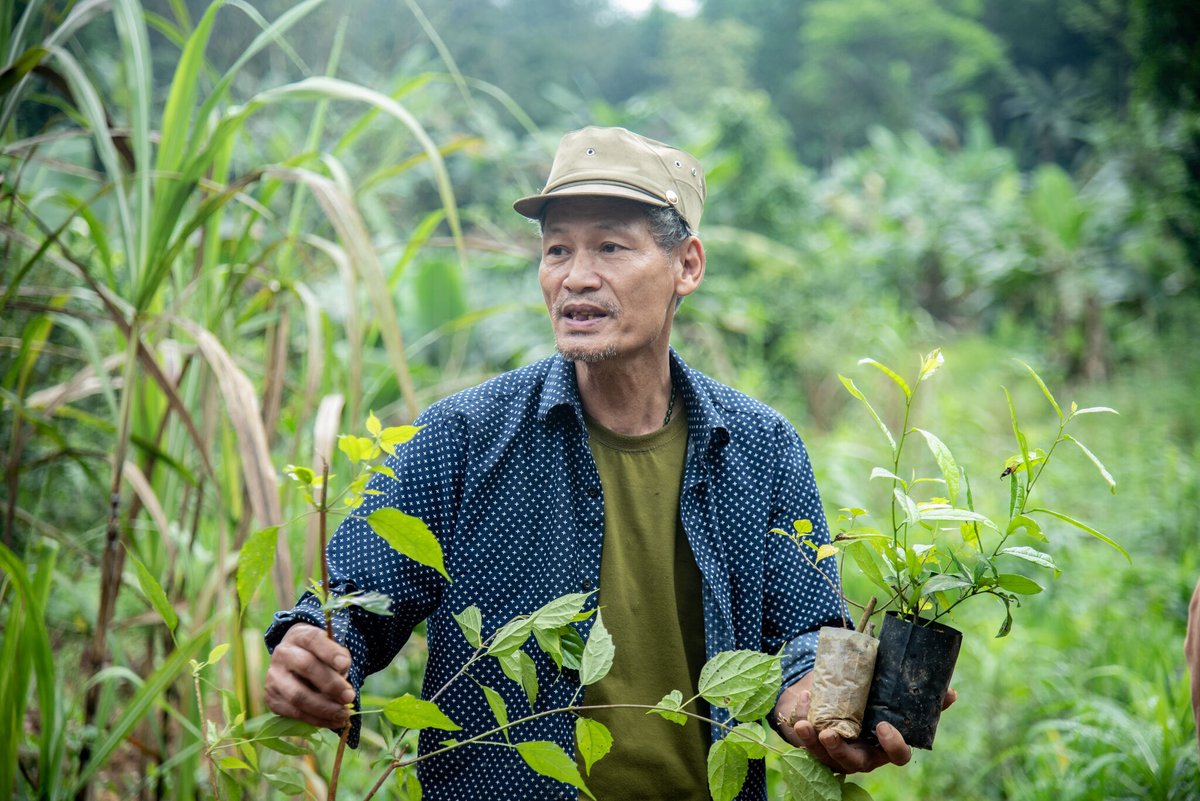 Establishing & maintaining community-based nurseries for seedlings of native trees & crop species are #PPPDarwinProject important activities to support in planting of 60,327 native trees so far, increasing knowledge/capacity of local communities in forest ecological restoration.