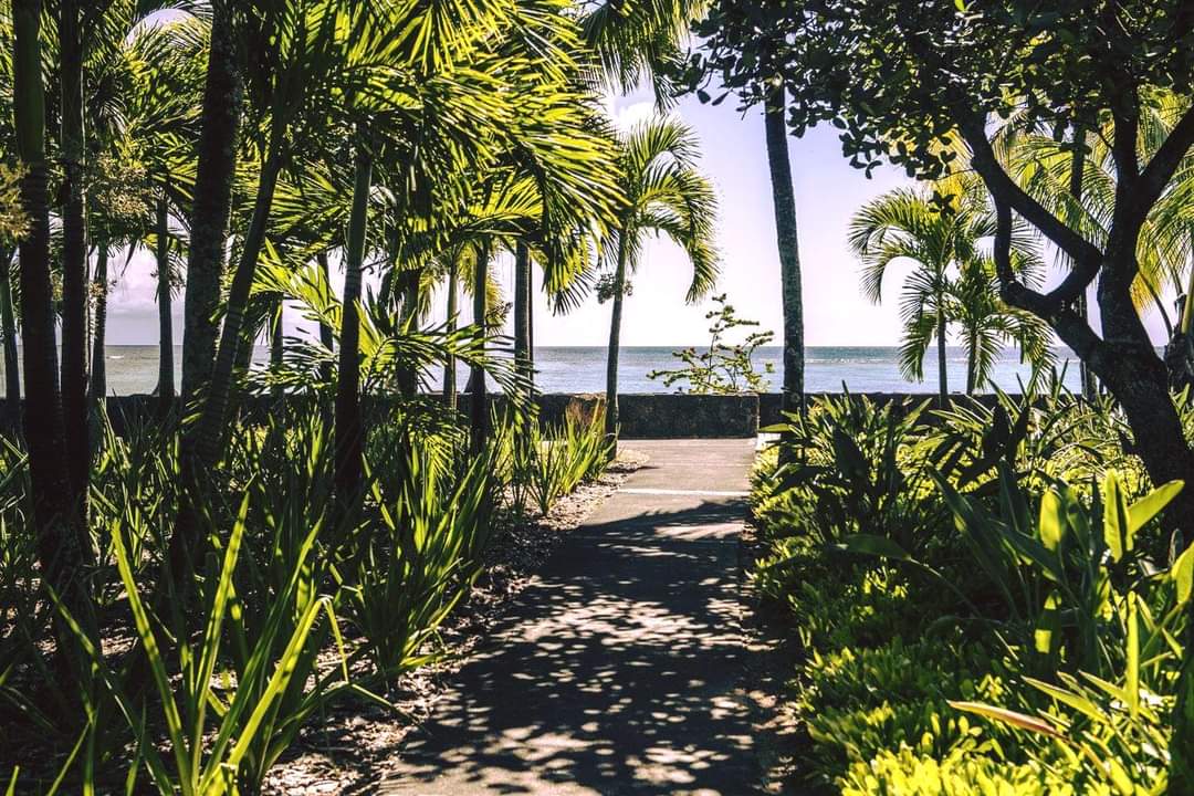 beachtag's tweet photo. Of all the paths
to travel down
my favourite
is the one
leading to
the beach...!
📍Trou aux Biches Beachcomber Golf Resort & Spa🇲🇺
Located on one of the finest resort sites on the island,the resort unfolds its magnificent suites & villas along a long stretch of beach https://t.co/cXi8qgqZd2