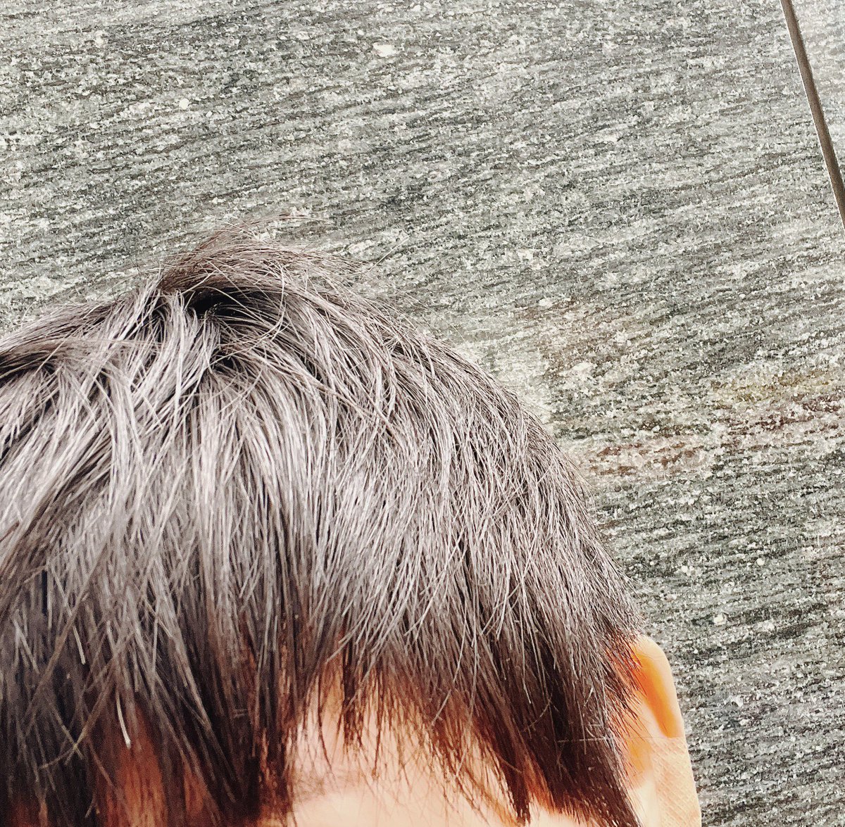 asaaaaamaaaaai's tweet photo. 今日髪切りに行った時に耳に軽く鋏あたって切れちゃったんだけど、それでなのか処理間違いなのか、お会計「支払い済んでるので」って無かった😳

猫の桜耳カットとかもそうだけど、耳介って地味に出血するんだよねぇ…

美容師さん、午後気を落とさずに頑張れー https://t.co/89O6TFmkhz