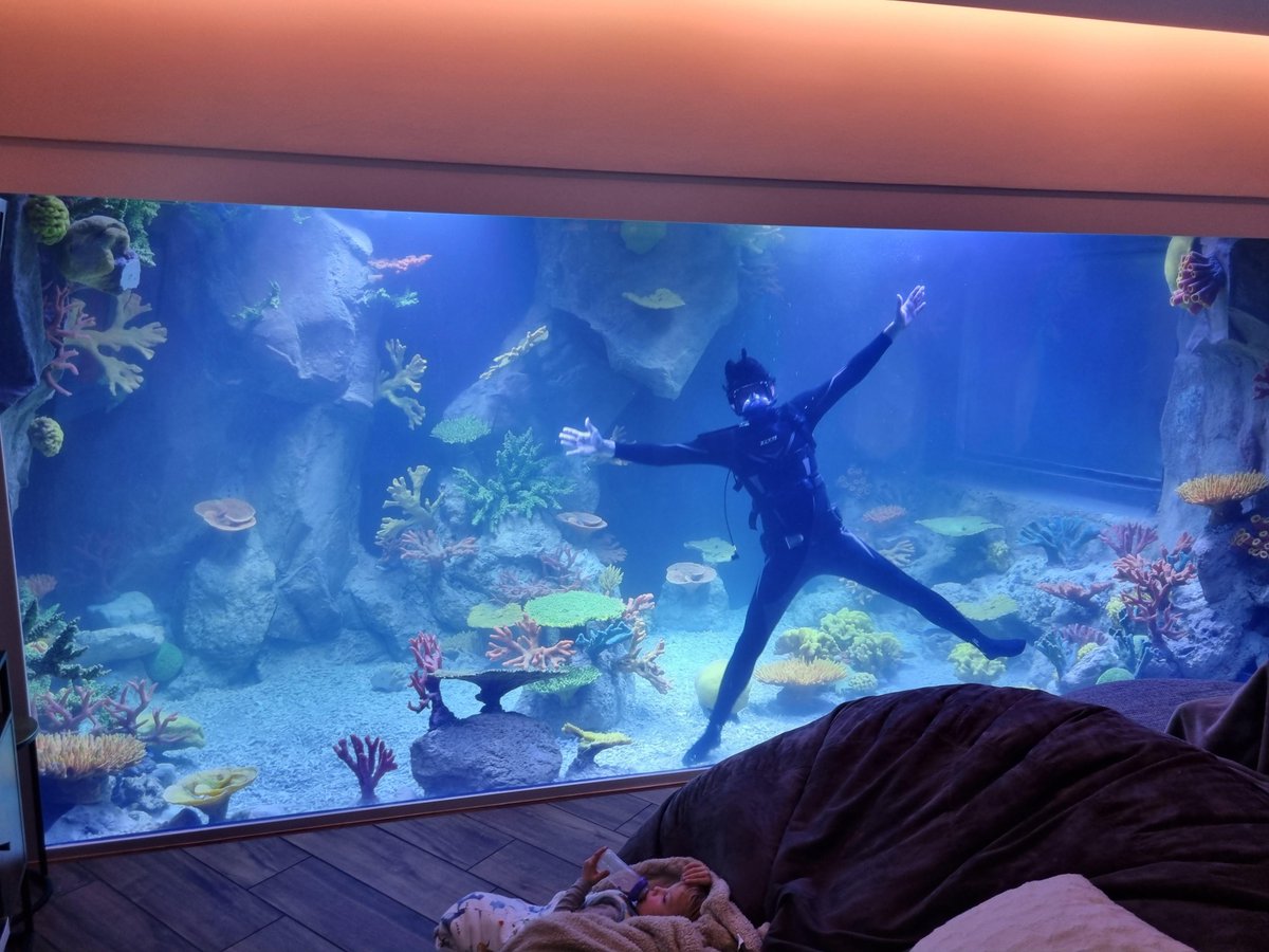 6 years ago, a lady posted in /r/aquariums that she was going to DIY an 11,000 gallon shark tank in her living room. A lot of people thought she was crazy. She just finished