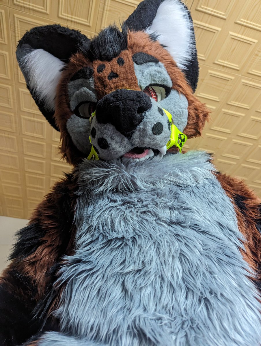 Kayden 🚗🔊 tweet media