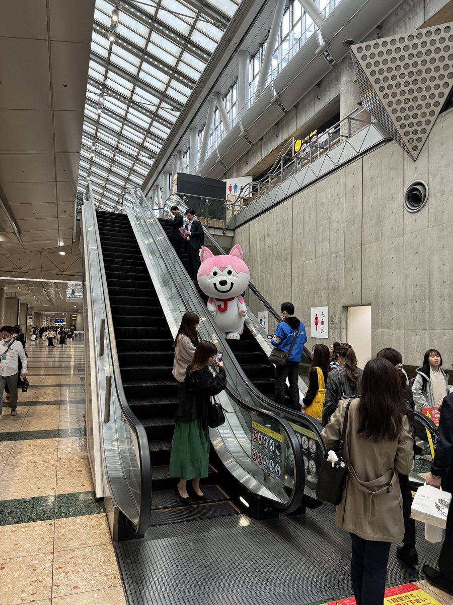 funnytail_mal's tweet photo. 発見💡 https://t.co/lfOgfluiY0