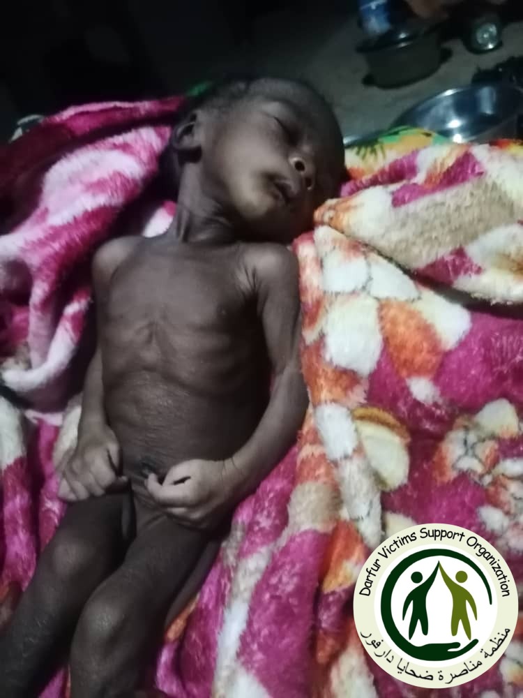 Darfur Victims Support tweet media