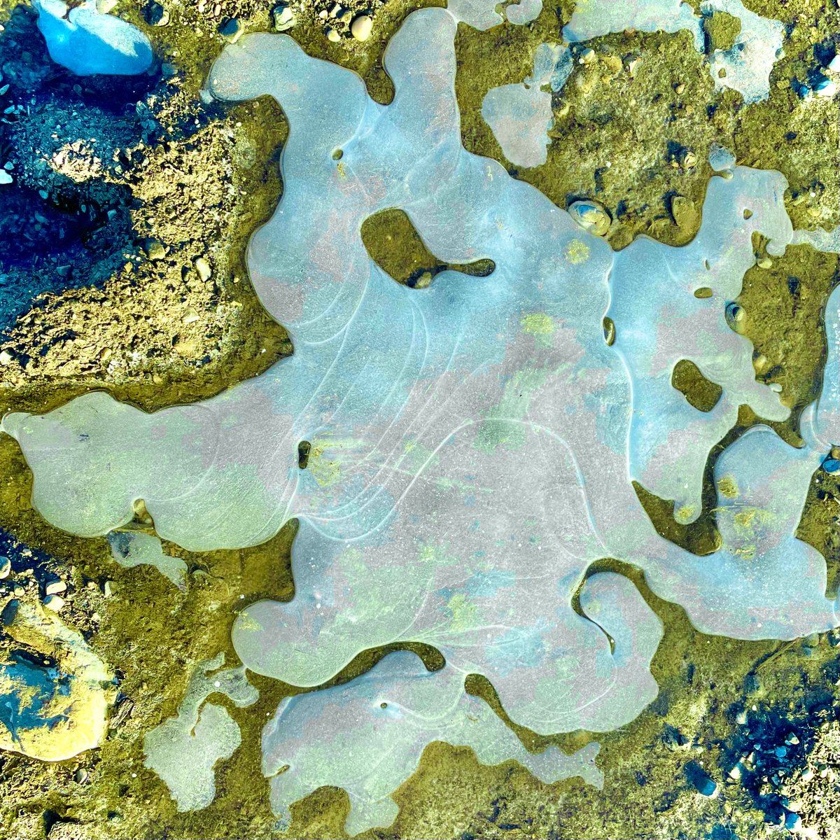 _ad_inf_'s tweet image. winter recap: Slush-ice glistens. Frostbite kiss. A toxic treat wrapped in neon glow.
📸❄️🟨🟩🟦⬜️
#WinterRecap #FrozenArt #NaturePhotography #AbstractPhotography #DigitalManipulation #DigitalFineArt