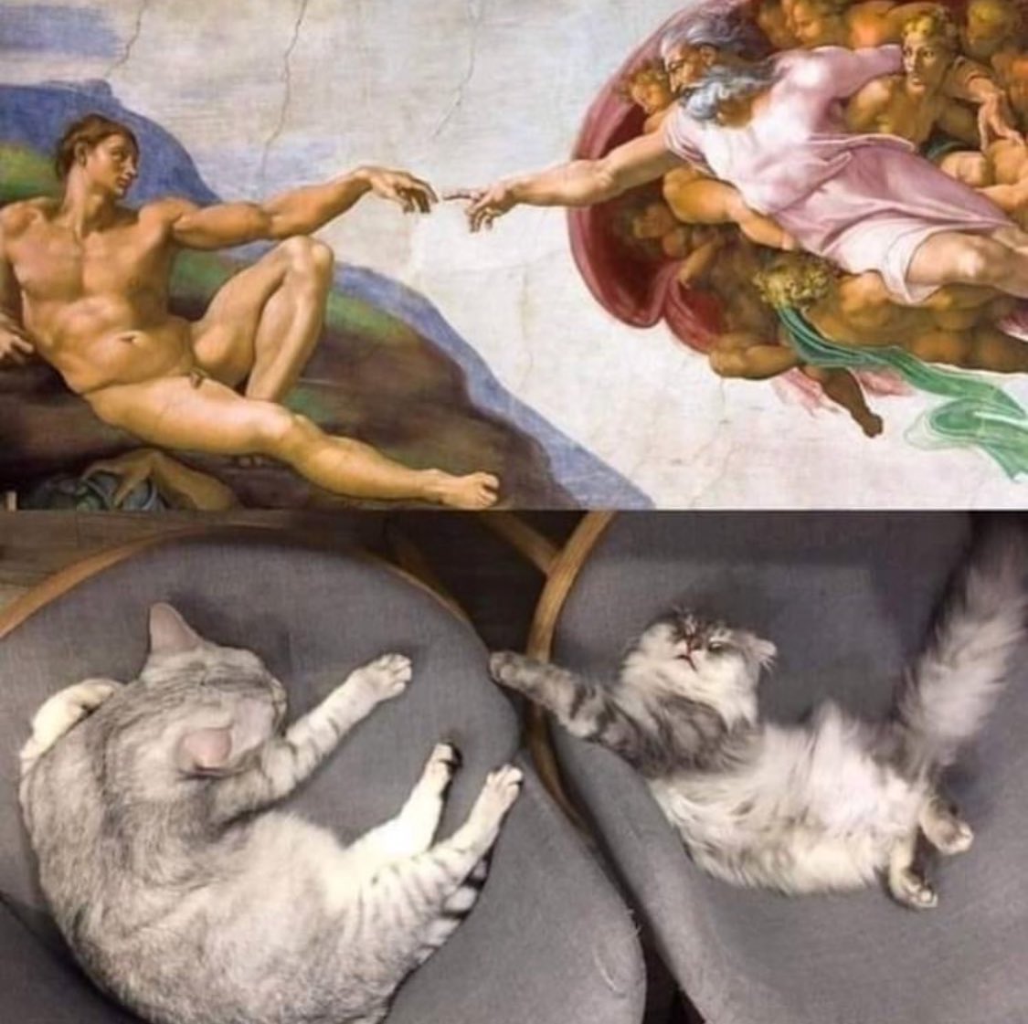 PunchingCat's tweet image. this is art