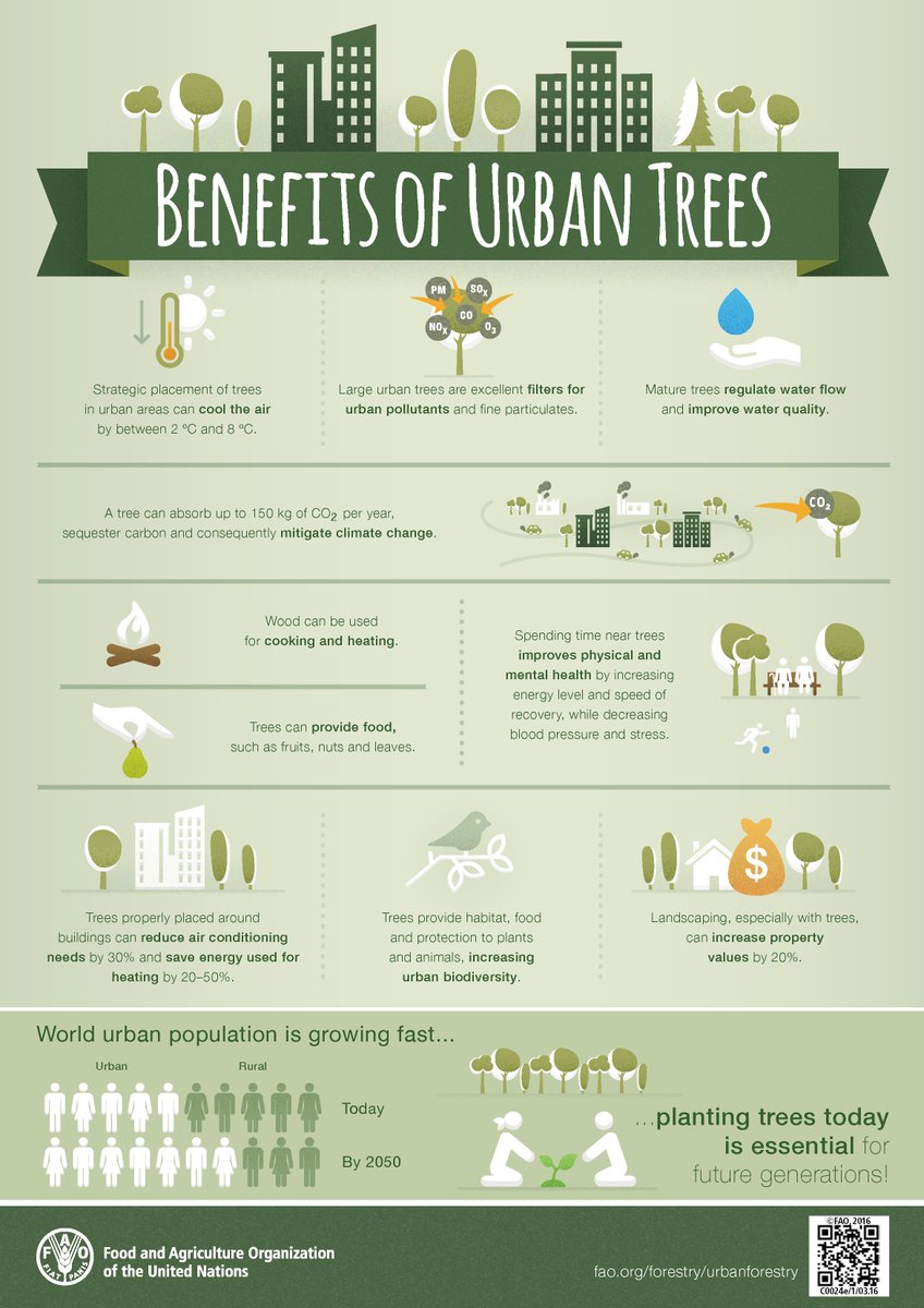 🌴🌳🌲When we plant the right trees in the right places, we support a cooler, greener and healthier future. 🌆 As populations grow in cities, urban trees provide many environmental and social benefits, including mitigating #ClimateChange and increasing #biodiversity. Via @fao