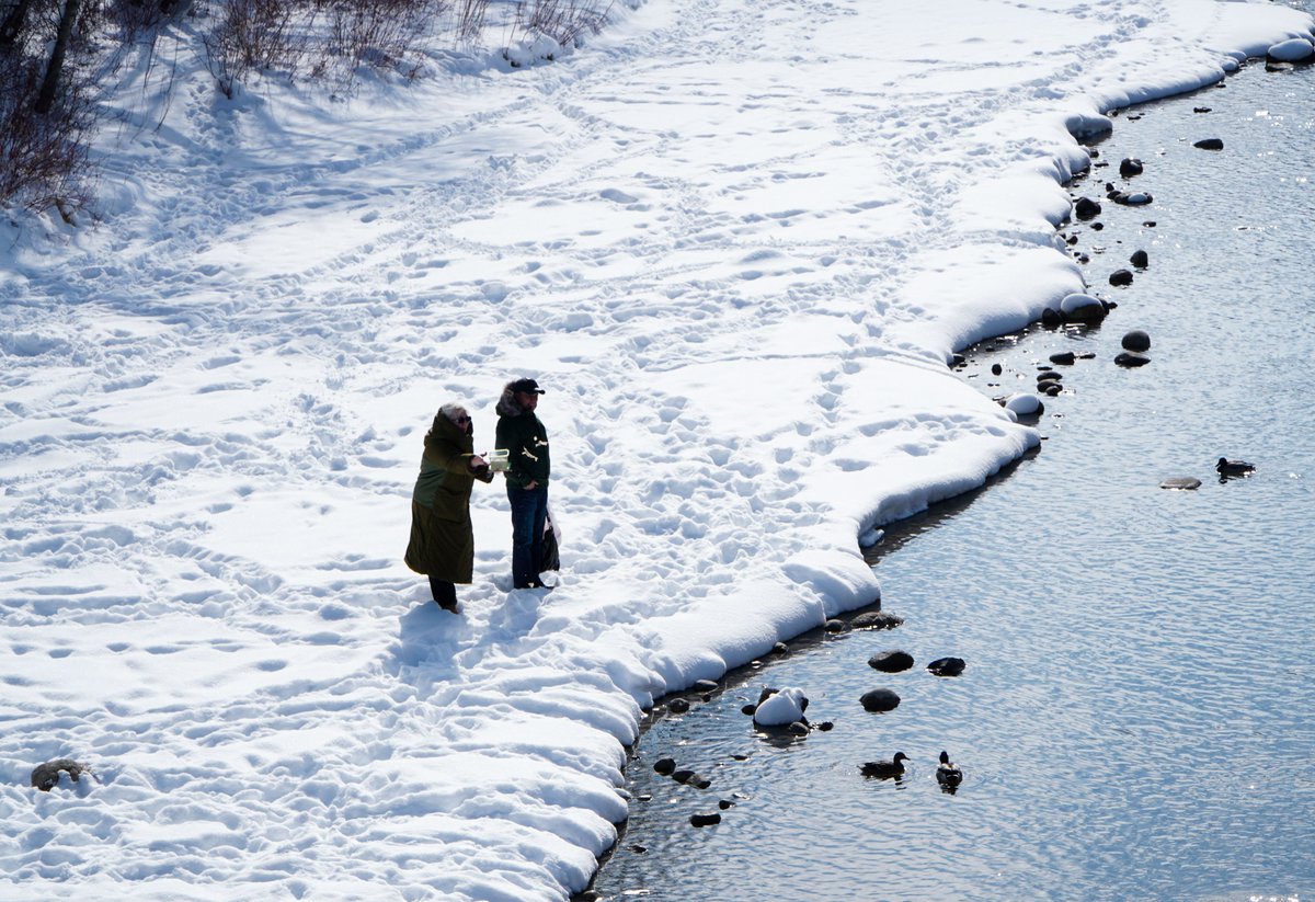 Sukiesu_photo's tweet photo. Calgary's winter is still on! I hope spring comes soon!
Photo taken at Lindsay Park last week by @sukiesu_photo
#photography #yycphotographer #photojournalism #photos #yycliving #winter #alberta #yycwinter #snowday #winterscene #streetphotography https://t.co/vrjl4uGScY