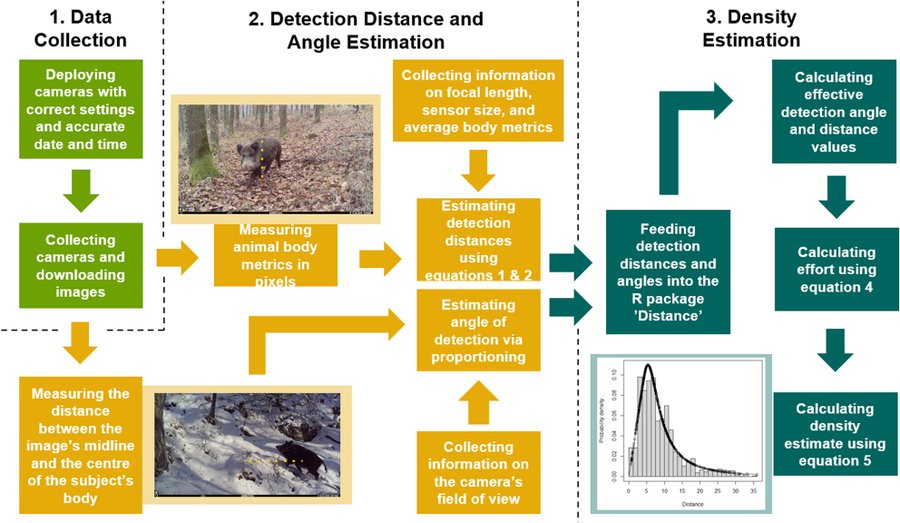 Developing innovative new ways to monitor animal populations is vital for effective conservation. Learn how @unepwcmc’s Programme Officer Balint Ternyik’s research on camera traps contributes to ecological monitoring 📸🐾tinyurl.com/mrp5ssk2 ➡️