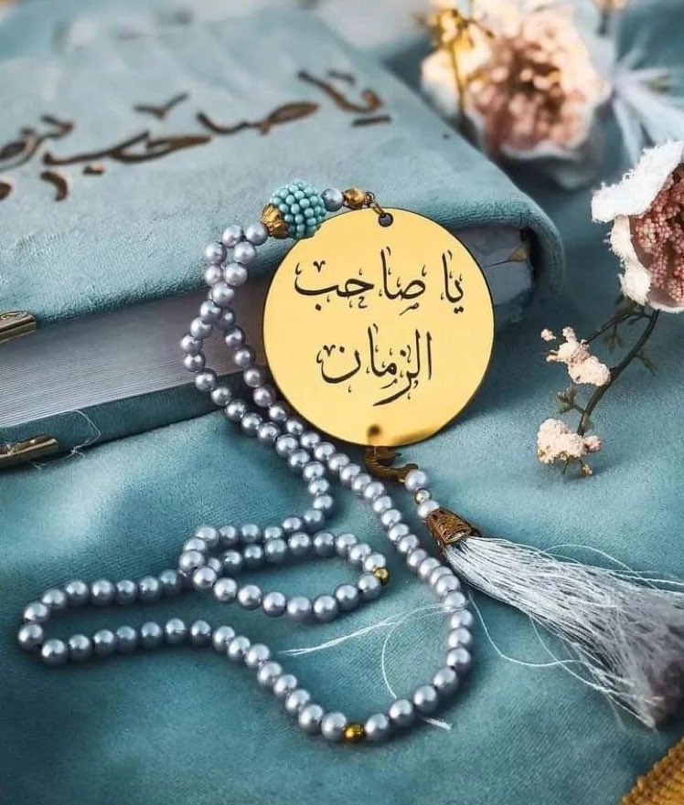 MehermaSyeda's tweet photo. اسلام علیک یا مولانا یا صاحب العصر والزمان عج https://t.co/zU9Grh86h5