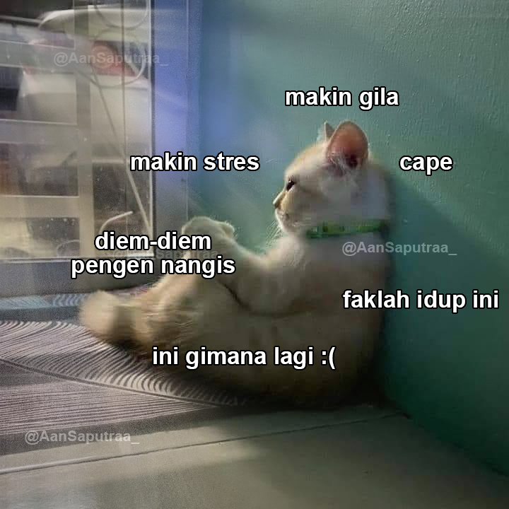 Mas A Depanmu ✨ tweet media