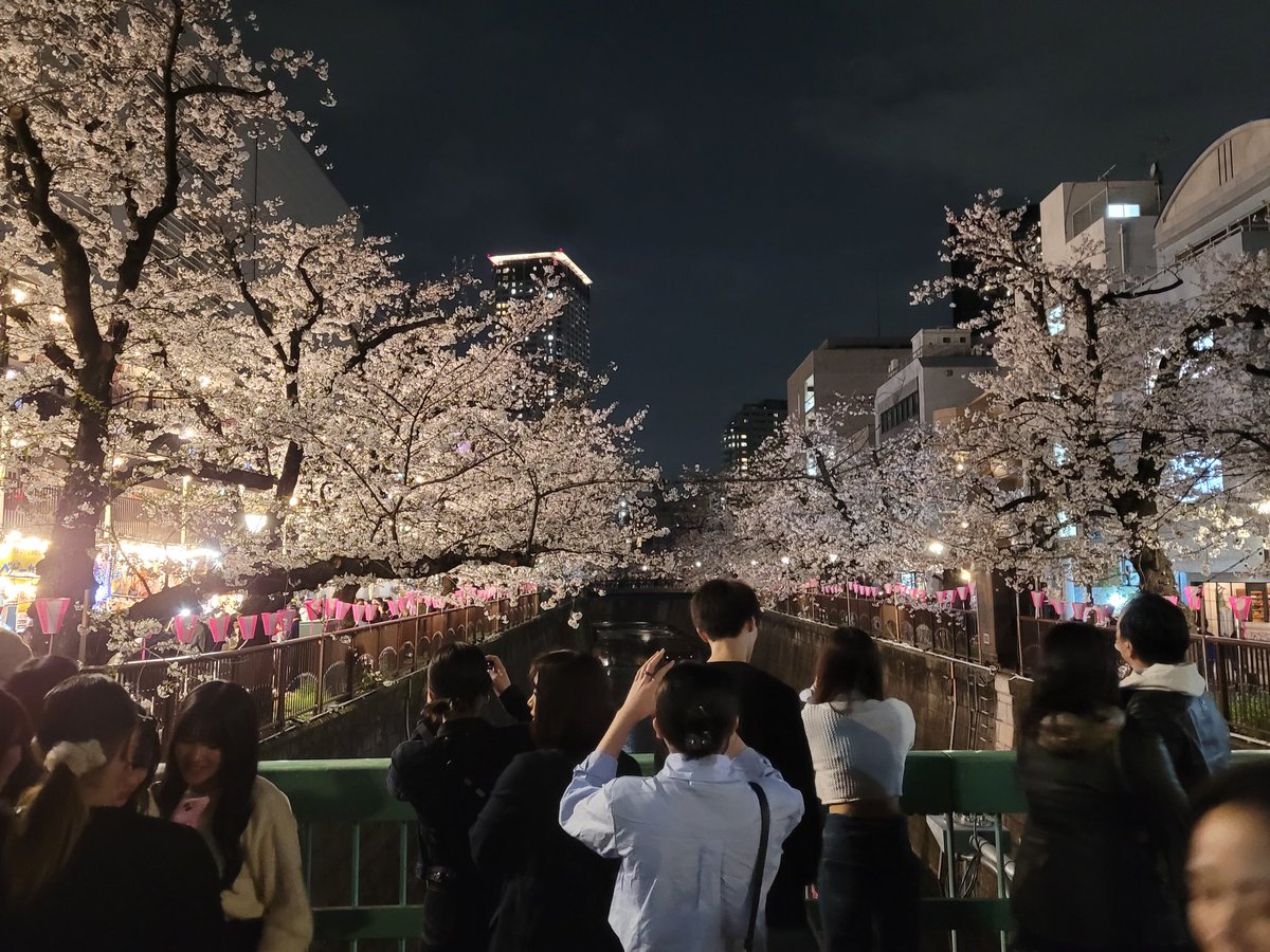 It was great to speak at the Japan-UK International Workshop on Engineering Biology yesterday, and return to <a href="/tokyotech_en/">Tokyo Tech</a>. Thank you to <a href="/TakinoueLab/">Takinoue Lab (瀧ノ上研究室, 情報生命物理学)</a> and other organisers for hosting and for the great scientific discussions! #synbio #engbio #sakura