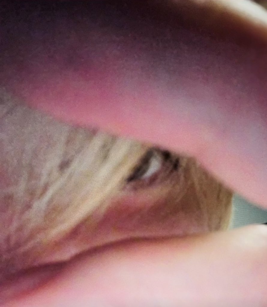 .                  I want it                             I got it