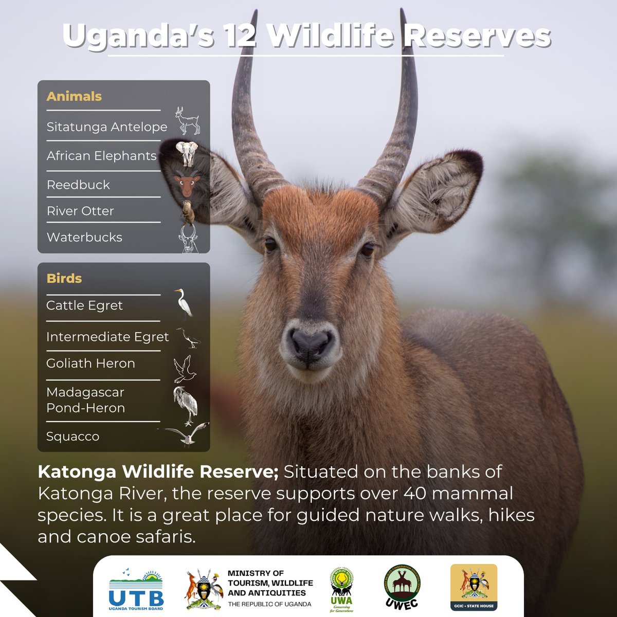 Government of Uganda tweet media