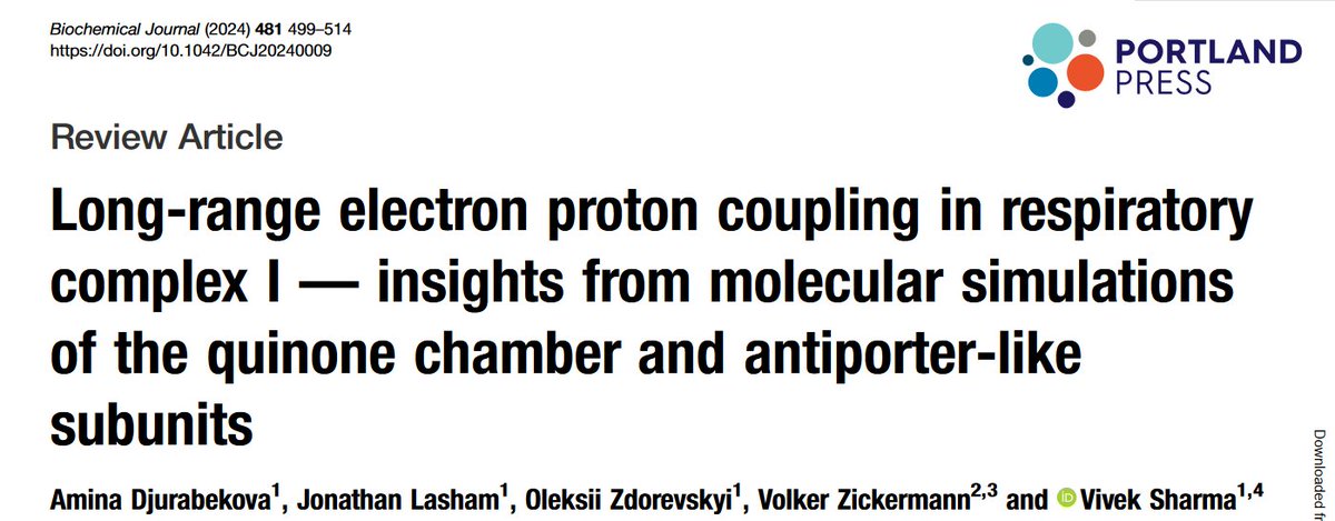 Happy to share our recent review on #mitochondrial complex I mechanism in #biochemj @Biochem_Journal. Work by @Amina93364815 @JonathanLasham #OleksiiZdorevskyi #VolkerZickermann.