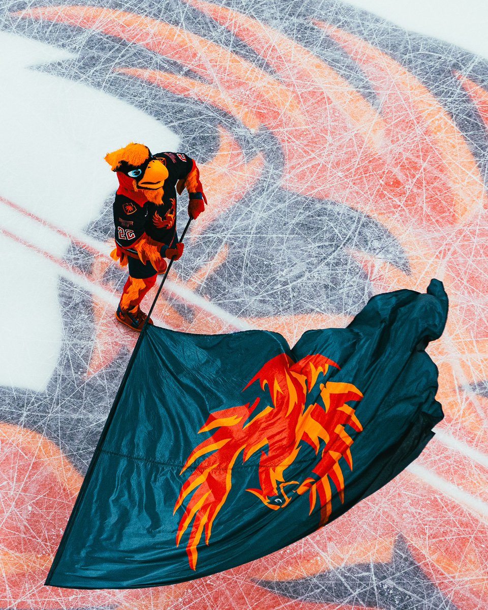 Firebirds tweet picture