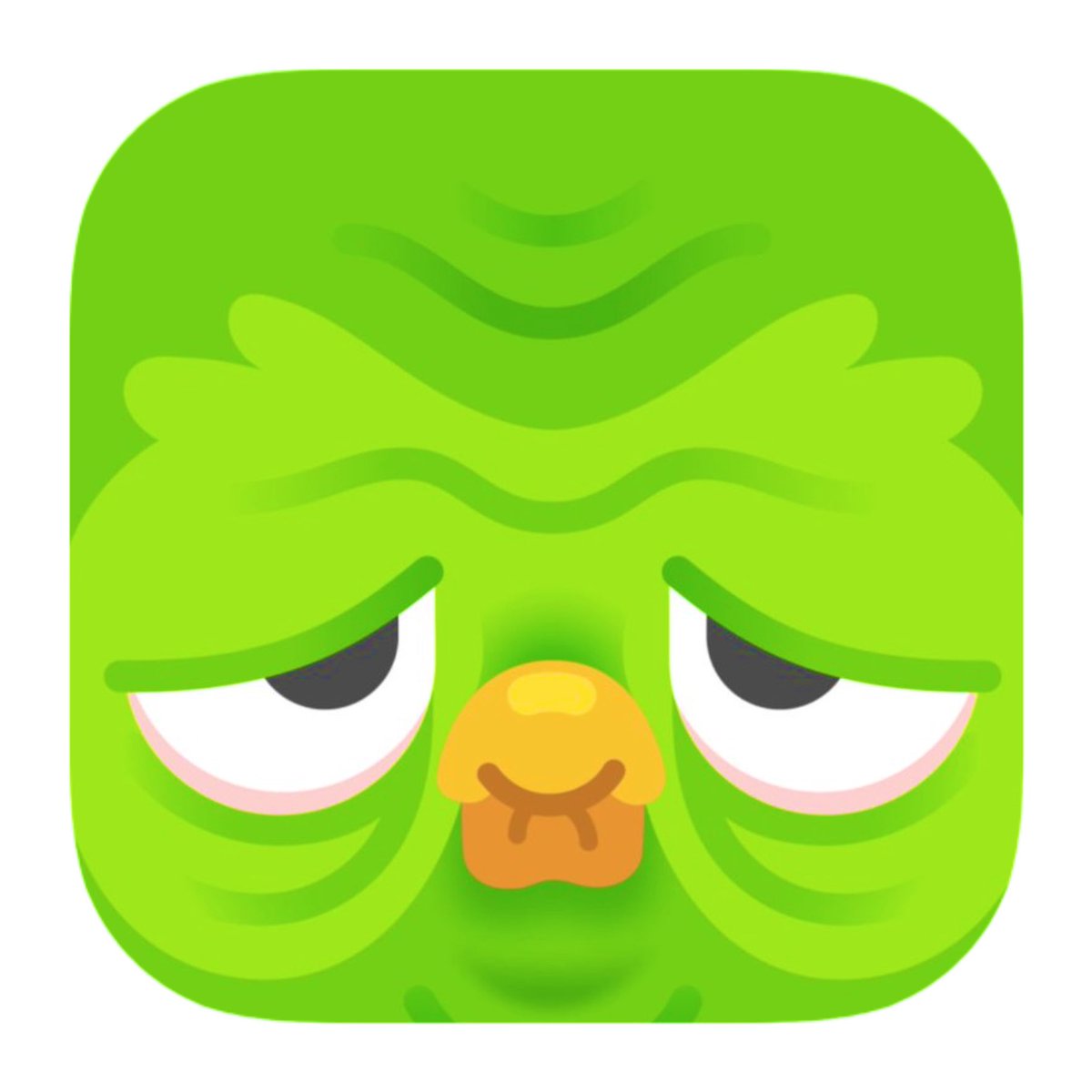 Duolingo has updated its app icon.