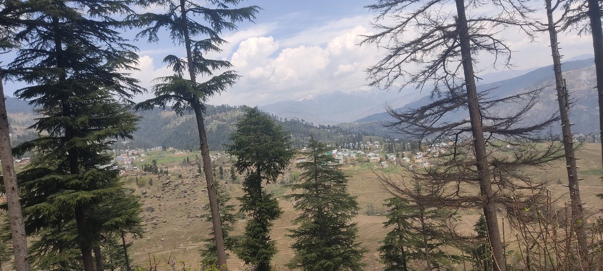 muzaffar189's tweet photo. #NaturePhotography https://t.co/hu0kGXTvRa