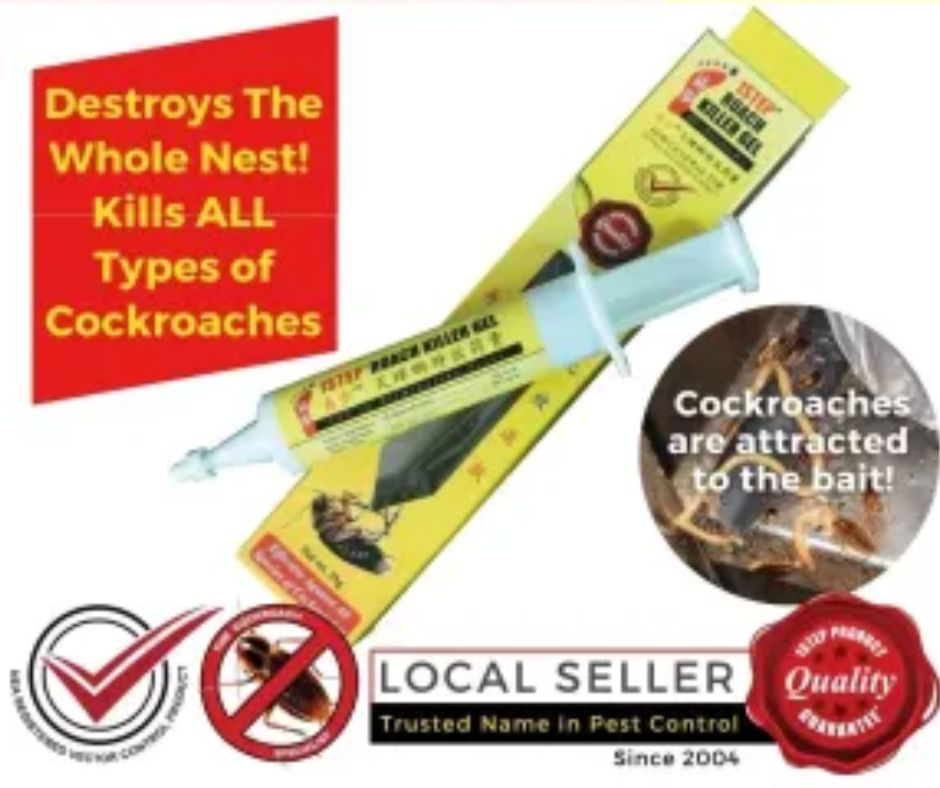pestcontrol787's tweet image. Struggling to find the right Commercial Cockroaches Control in  Singapore? Look no further than 1STEP Pest Control Services! Visit our website : 1steppestcontrol.com
#1steppestcontrolservices #commercialcockroachescontrol #cockroachescontrol
