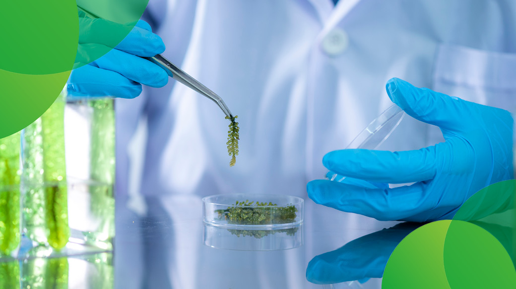 TevaFinland's tweet photo. Tänä vuonna lääkevaihtoon mukaan tulevat asteittain myös biologiset lääkkeet. Muutoksesta odotetaan uusia haasteita apteekkilaisille. Tiedätkö, miten biologisten valmisteiden apteekkivaihto poikkeaa muista vaihtokelpoisista valmisteista? Lue lisää https://t.co/aOVw860u6U https://t.co/Etj9UQkNId