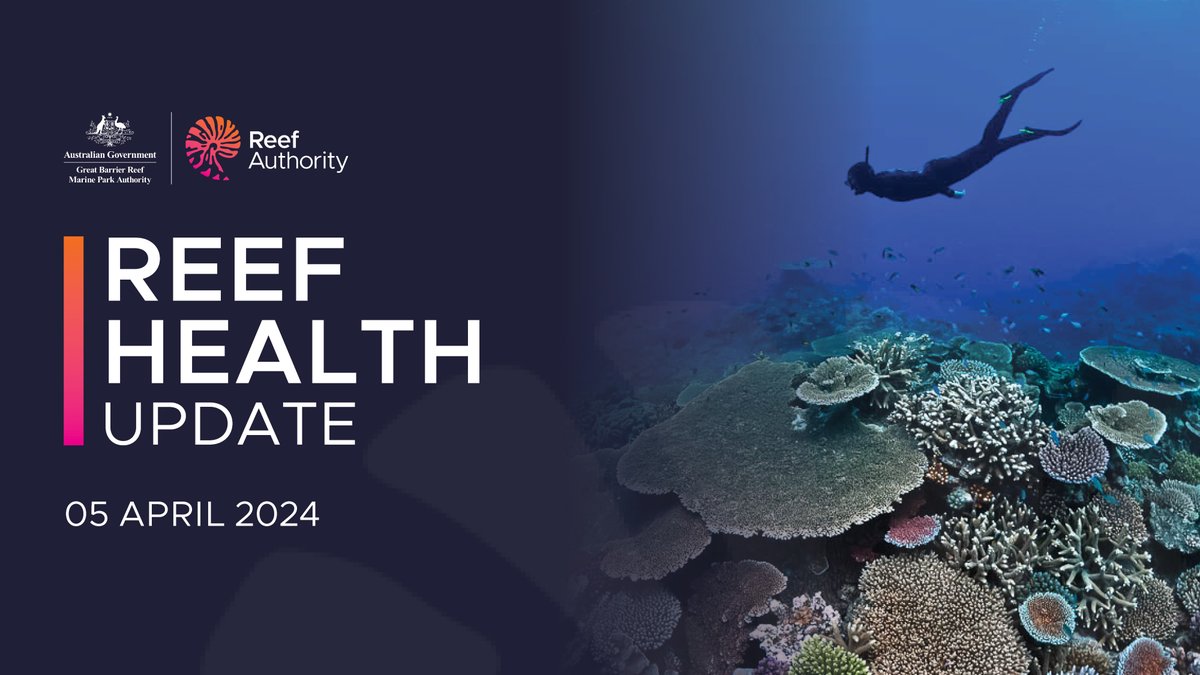 Our latest Reef health update is now available. Learn about the latest data on the current bleaching event, sea surface temperatures, rainfall, reef health and our management actions. Read the full update here: bit.ly/47Hdsz0. #ReefHealth #LovetheReef