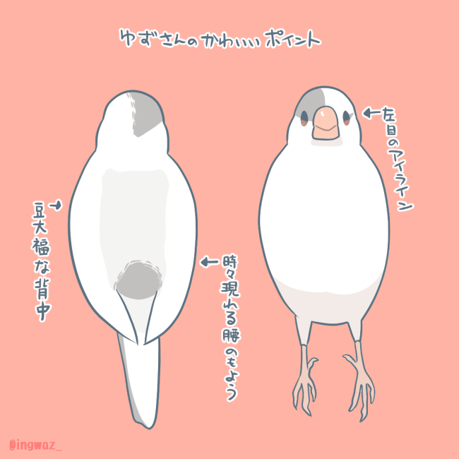 訂正 ゆずさん🍊 