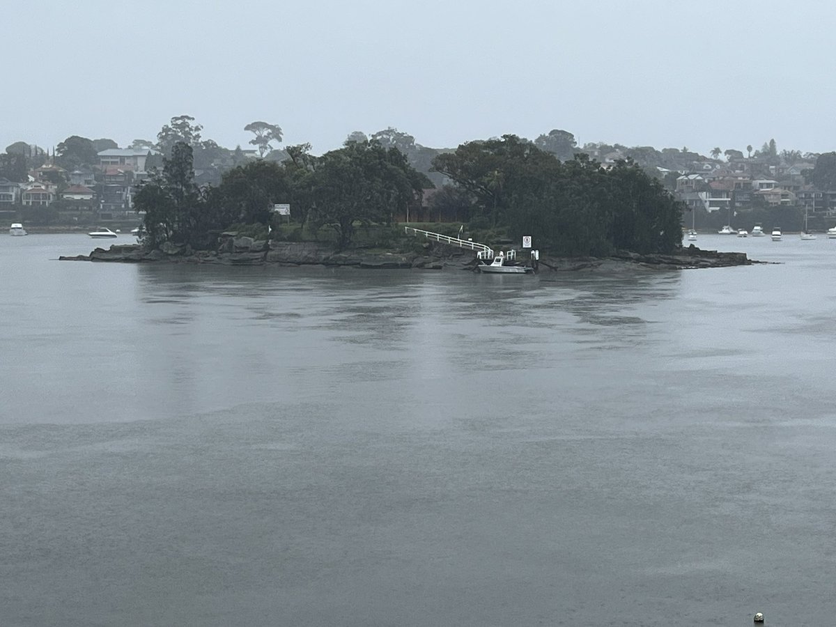 Sublime #publicsydney
Rodd Island in the rain