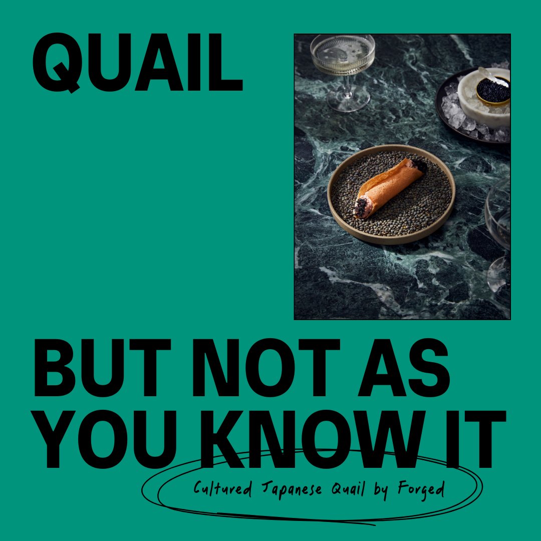 Using cultured meat to deliver new experiences you can’t find in animals – that's what we do. Cultured Japanese quail is now on the menu in Singapore, and it's unlike anything you've tasted before. Taste it for yourself at hubs.la/Q02rWsyv0 🍽