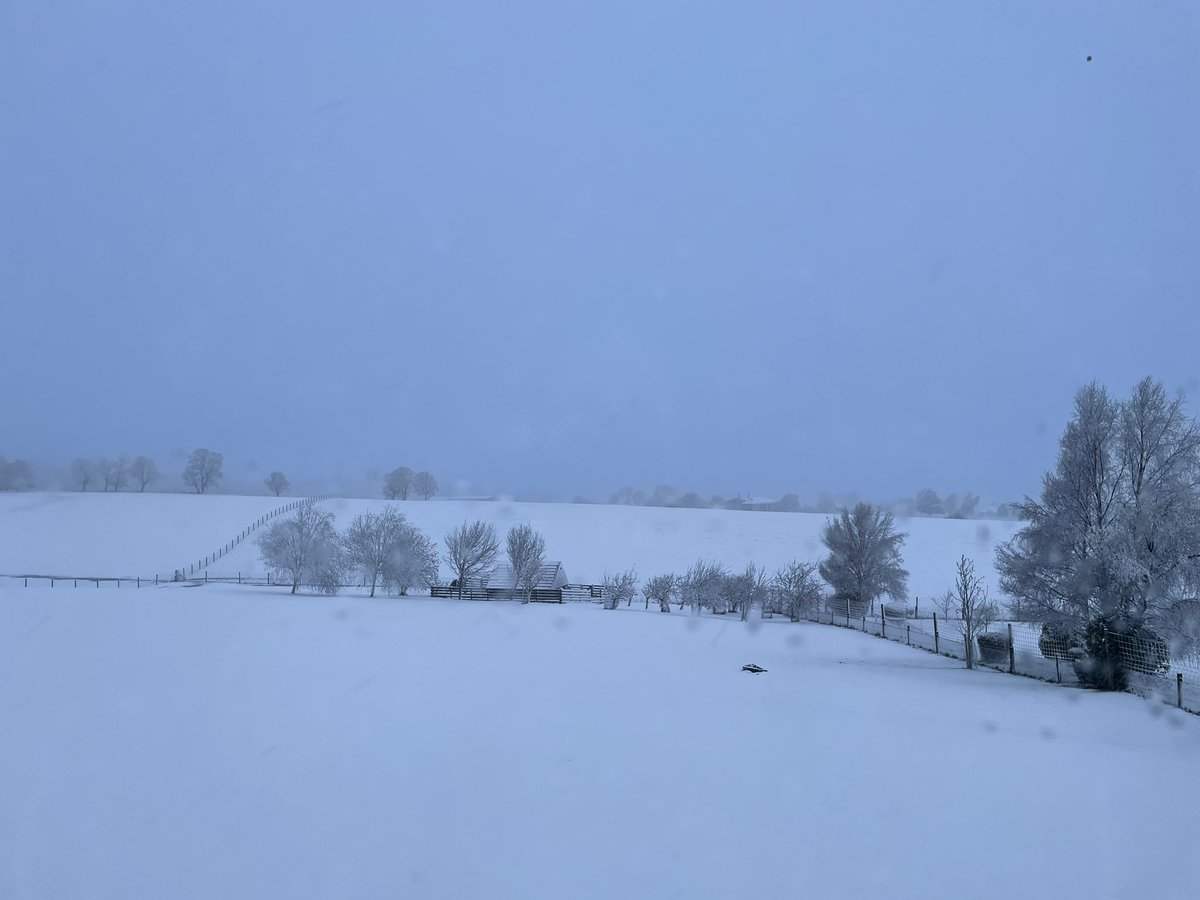 Auchterarder in spring. It’s April for goodness sake 😠