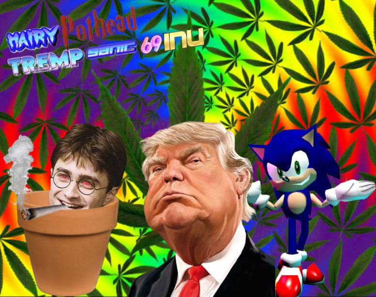 hpts69inusolana's tweet photo. New meme who dis? https://t.co/eQ5fv08r0y