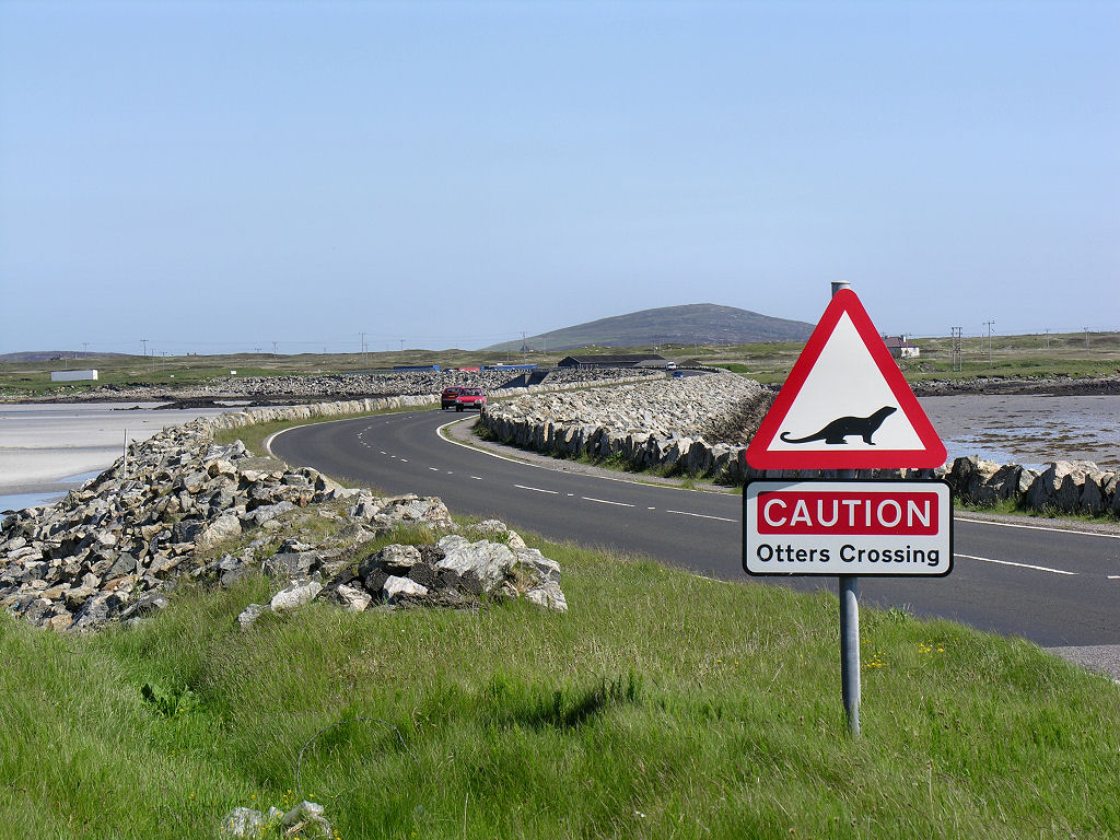 'Caution Otters Crossing.' The South Ford Causeway linking South Uist to Benbecula in the Western Isles. The 800m causeway was opened in 1982, replacing an 82 span single-lane concrete bridge built in 1942. More pics and info: undiscoveredscotland.co.uk/benbecula/benb…