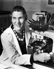 Woman of the Day human geneticist Janet Rowley born OTD 1925 in New York, the first scientist to prove that cancer is a genetic disease after identifying that a chromosomal translocation, an unusual rearrangement of chromosomes, can trigger leukaemia and other cancers. Aged 15,…