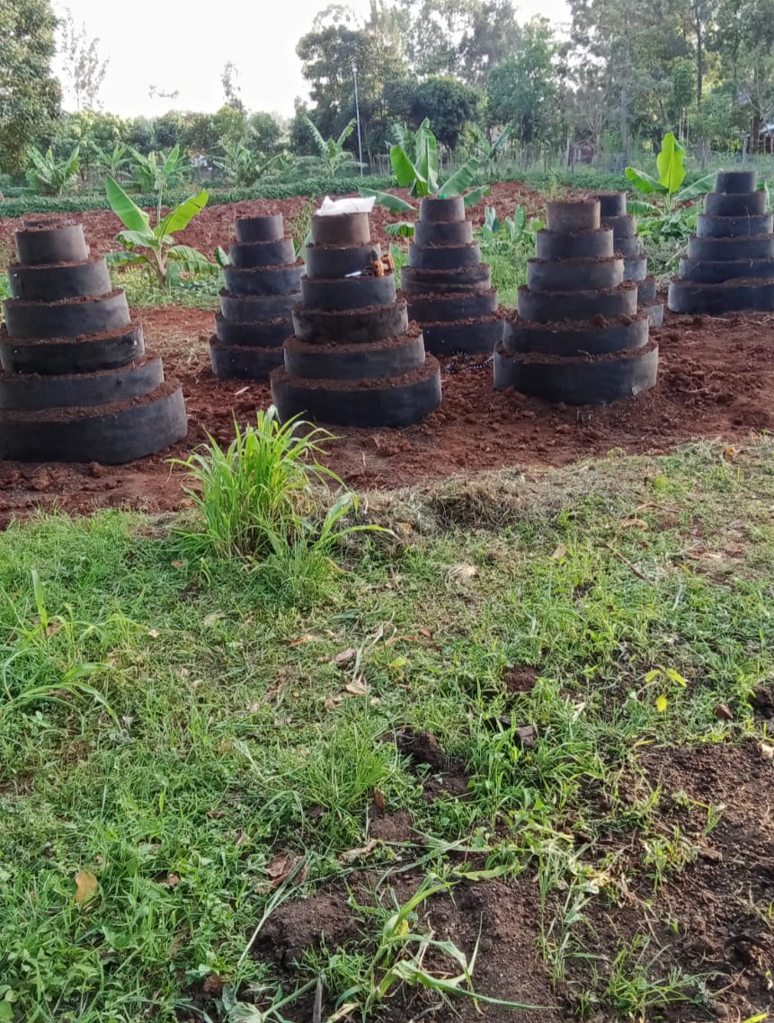 Consider vertical gardens the most affordable and easiest way to get into farming. At only Ksh 2,399 per garden. For more information visit Irri-hub.com