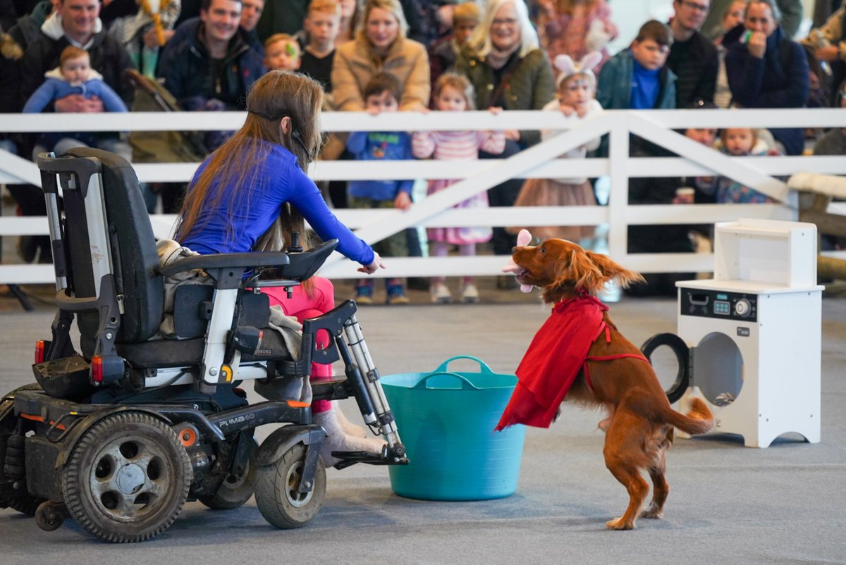 Reminiscing about Springtime Live 2024 at the YEC 🌼 From tractor trailer rides and horseshoeing demos to farm animals and captivating live shows, this event was an absolute crowd-pleaser, utilizing both our outdoor and indoor spaces! eventcentre.co.uk