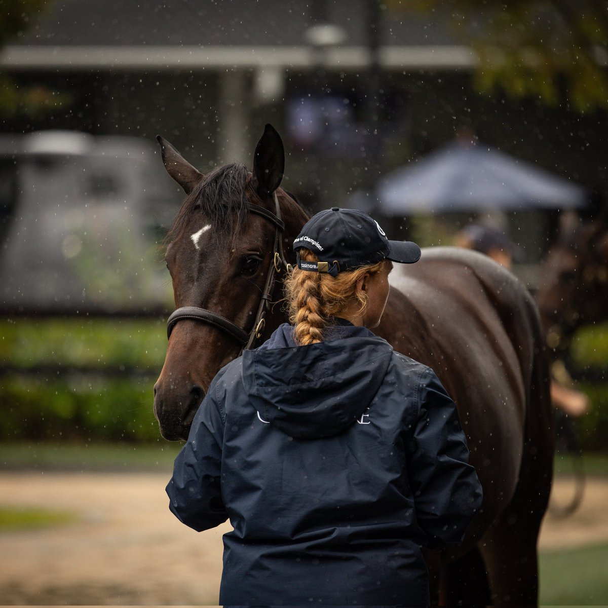 It was a wet and rainy day at Riverside today but that didn't deter our dedicated staff who continue to do an exceptional job. #Coolmore #HomeOfChampions