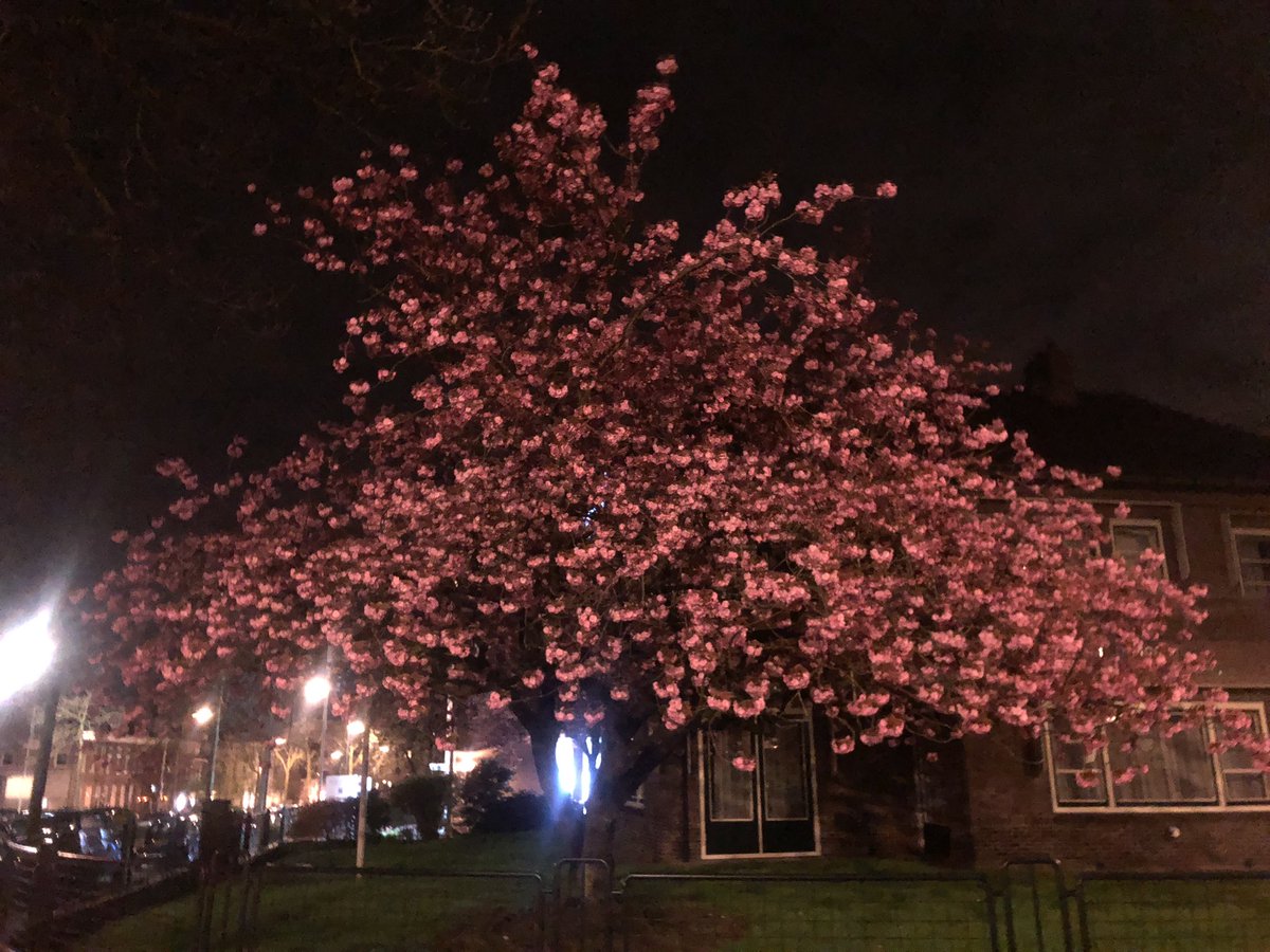 r0th4us (@r0th4us) on Twitter photo 