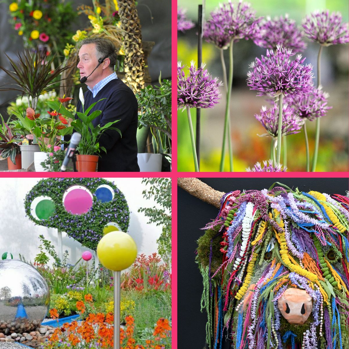 HarrogateFlowerShow (@harrogateflower) on Twitter photo Are you a business looking to share the joys of horticulture with your clients or team?๐ท
Join us for stunning plant displays & floral art, inspiring show gardens, cookery & floristry demos and gardening Q&As.
For info about corporate opportunities contact info@flowershow.org.uk Are you a business looking to share the joys of horticulture with your clients or team?๐ท
Join us for stunning plant displays & floral art, inspiring show gardens, cookery & floristry demos and gardening Q&As.
For info about corporate opportunities contact info@flowershow.org.uk