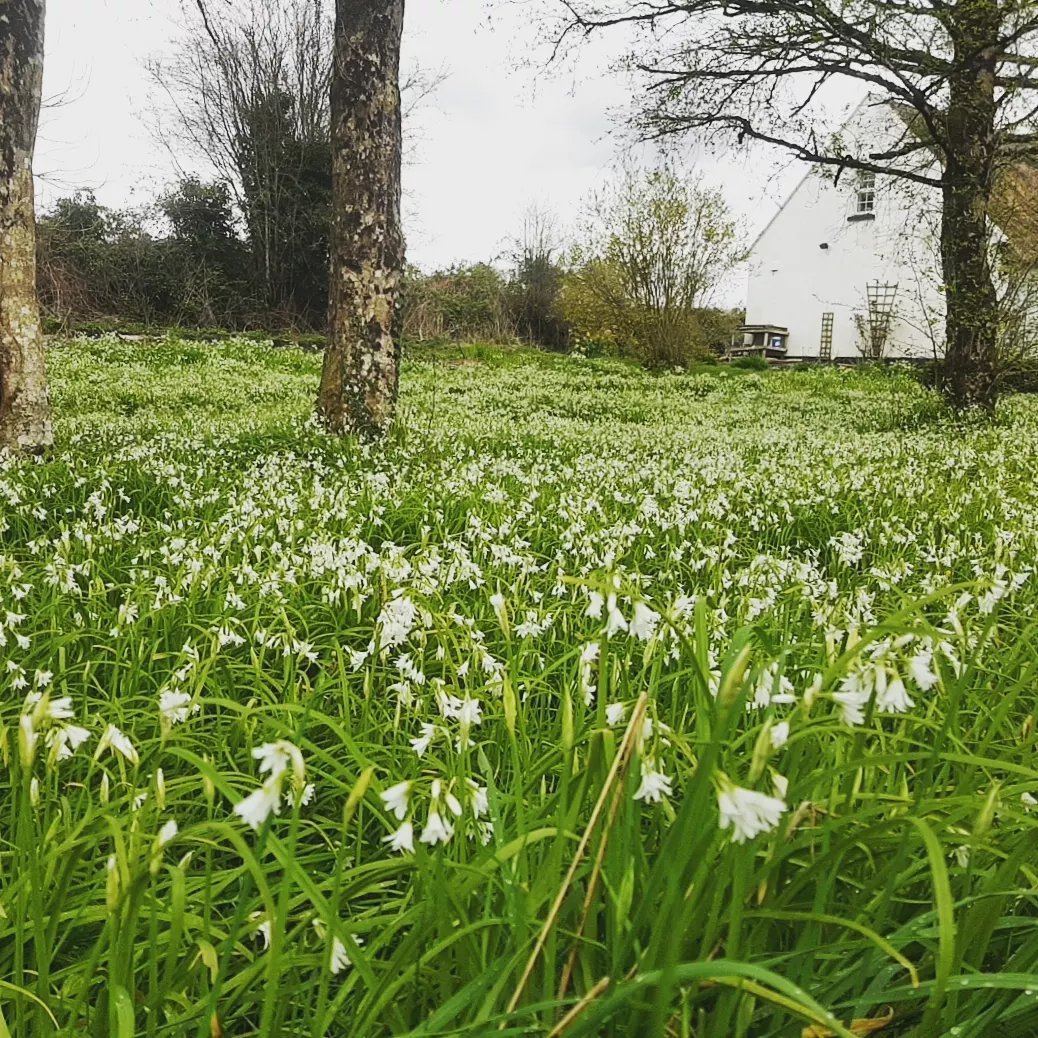 Phoebe O'Brien tweet media