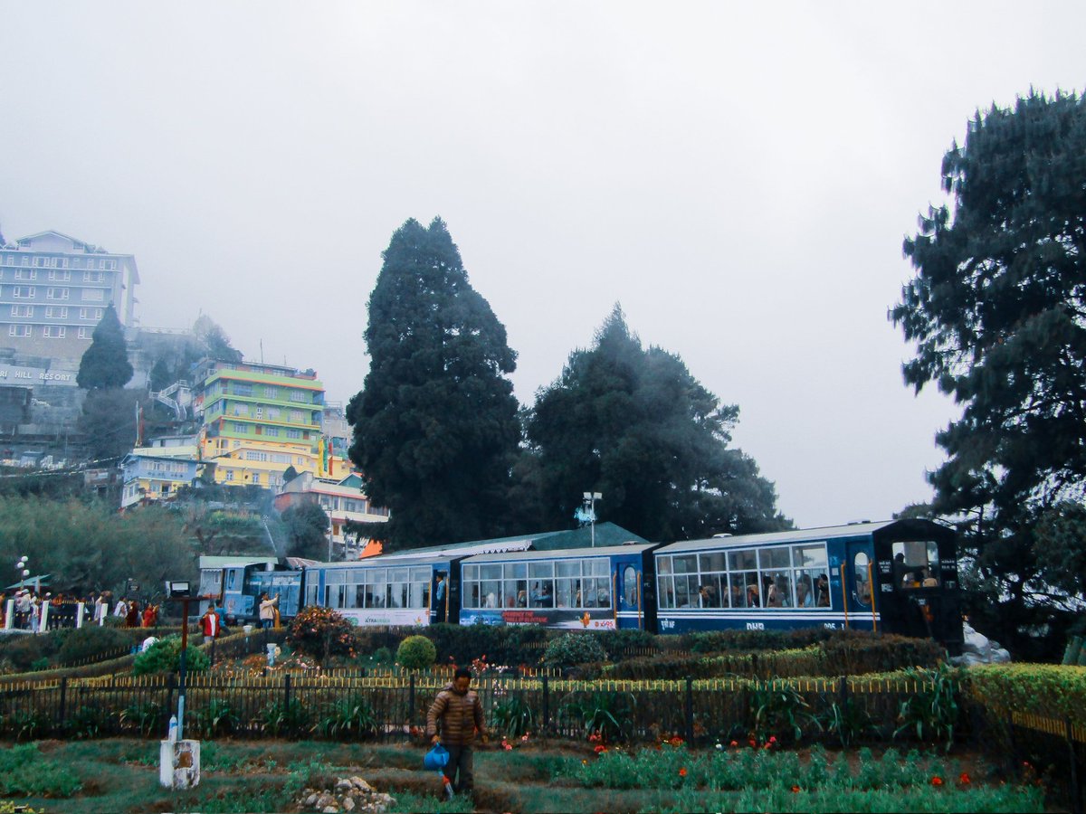 Behold the enchanting sight of #Darjeeling : The #Ghum Joy ride whizzing past the verdant hillside, a breathtaking blend of man-made marvel and natural beauty.♥️
.
.
#NFRailEnthusiasts 
@reachdhr | @drm_kir | @RailNfdarhee | @RailMinIndia