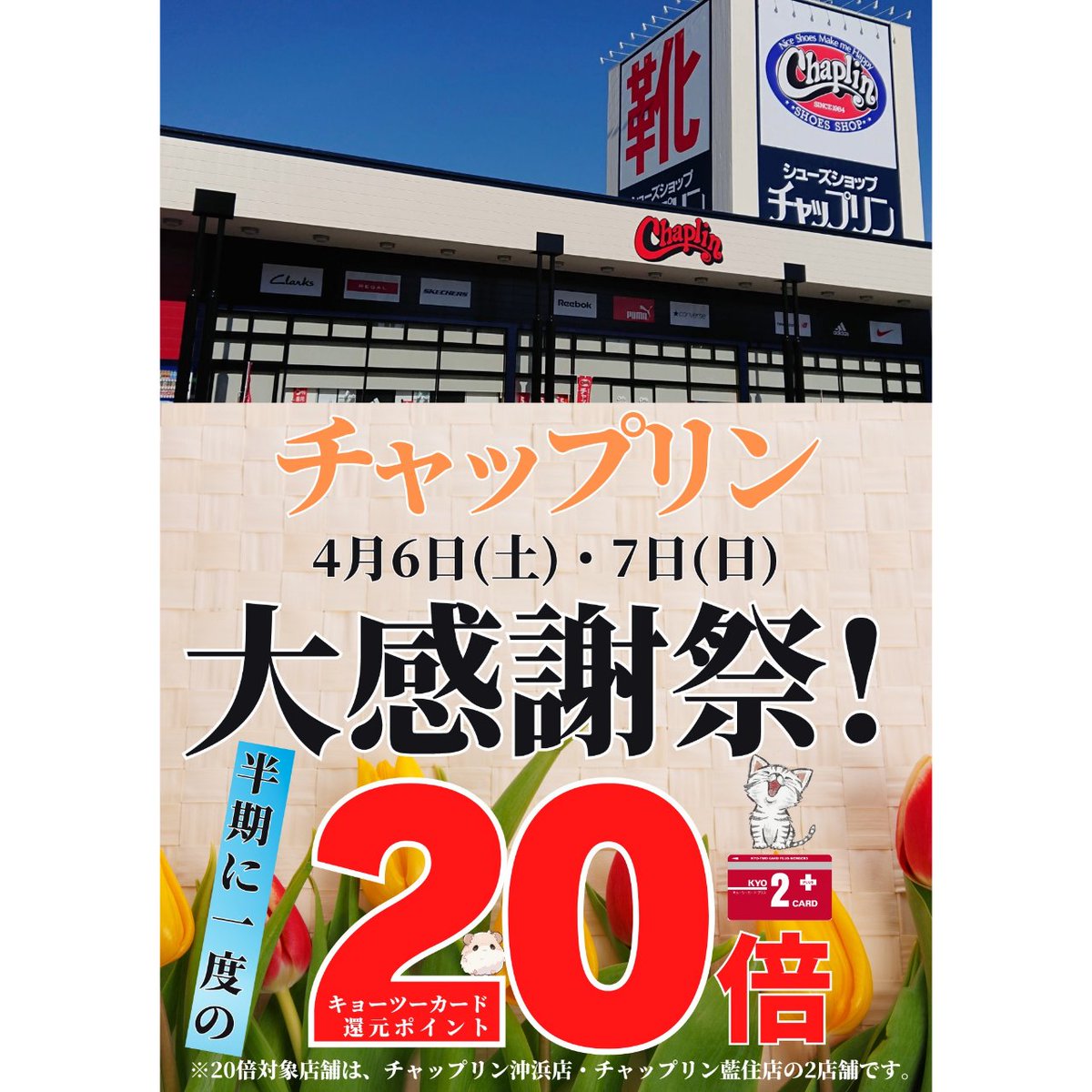 半期ぶり たいへんお待たせいたしました ﾁｬｯﾌﾟﾘﾝ藍住店・ﾁｬｯﾌﾟﾘﾝ