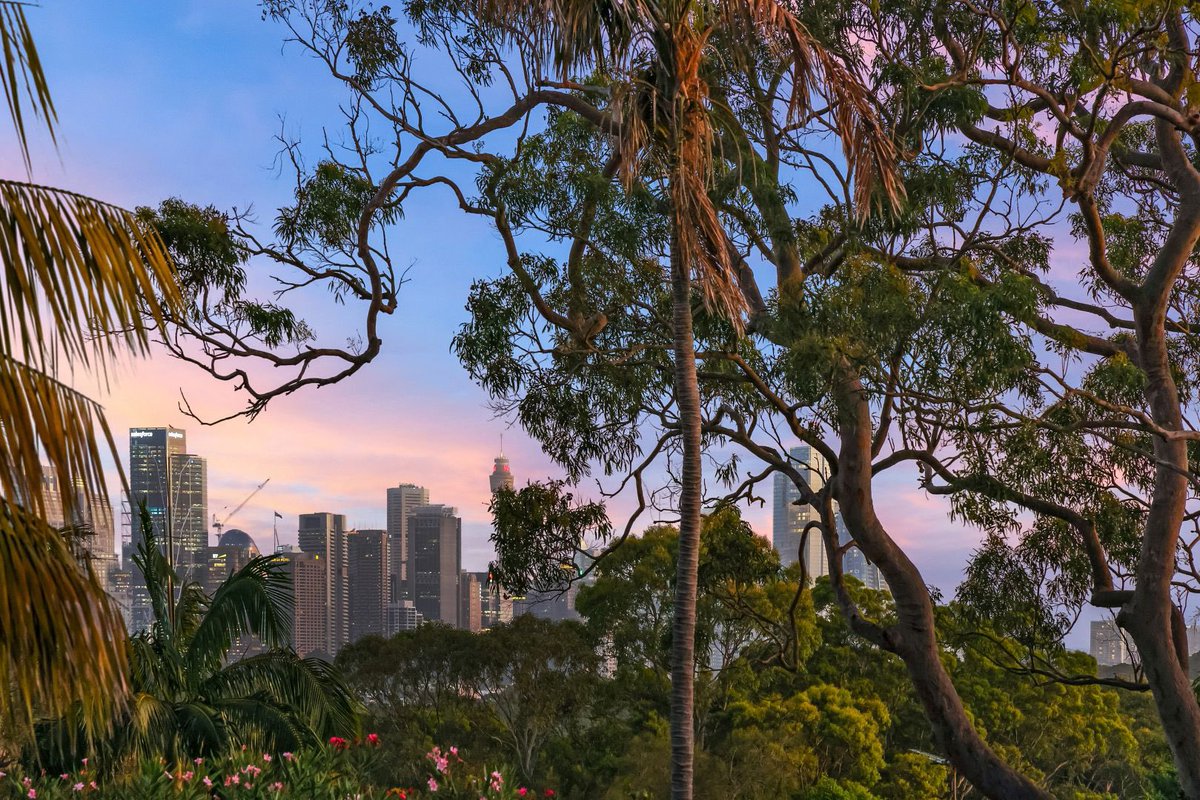 JPrattauctions's tweet photo. #soldprior to auction Wollstonecraft

9 Shirley Road, Wollstonecraft 
5B 2B 3C

https://t.co/F0q2mhfer1

Listed by #annikabongiorno
#aaronbongiorno 
Stone McMahons Point 

https://t.co/F0q2mhfer1 https://t.co/zRaYcen3Lg