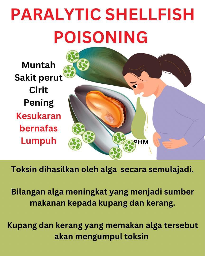 health_malaysia's tweet photo. KUPANG BERACUN? 

1. Pendedahan kepada bahan toksin melalui makanan laut seperti kupang, kerang &amp; tiram boleh menyebabkan berlakunya keracunan Paralytic Shellfish Poisoning 

2. Toksin yang terbentuk adalah bahan toksin semulajadi yang dihasilkan oleh beberapa spesis alga

Thread https://t.co/MTtQmYSP6o